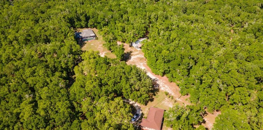 Casa en High Springs, Florida 6 dormitorios, 382.57 m2 № 1625536