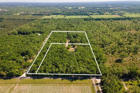 Casa en venta en High Springs, Florida, 6 dormitorios, 382.57 m2 № 1625536 - foto 6