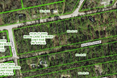 Terreno en New Port Richey, Florida № 2195120