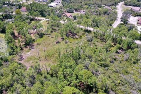 Land in Deltona, Florida № 1886786 - photo 9