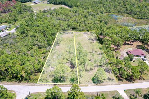 Land in Deltona, Florida № 1886786 - photo 1