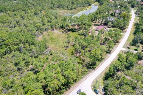 Land in Deltona, Florida № 1886786 - photo 11