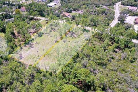Land in Deltona, Florida № 1886786 - photo 8