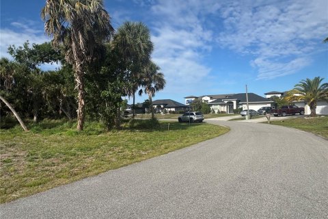 Land in North Port, Florida № 2159419 - photo 3
