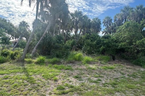Land in North Port, Florida № 2159419 - photo 4