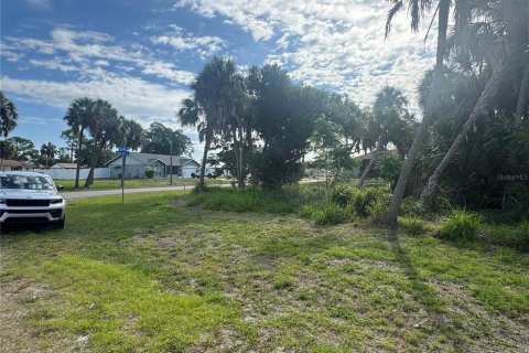 Land in North Port, Florida № 2159419 - photo 5