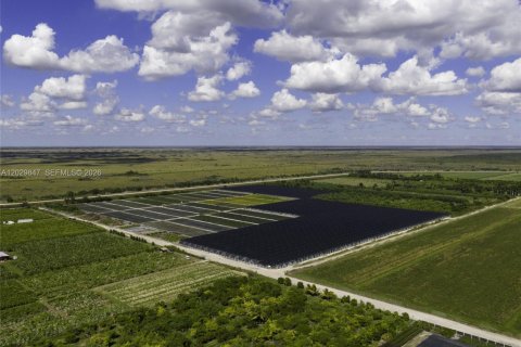 Commercial property in Homestead, Florida № 2187834 - photo 2