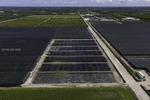Commercial property in Homestead, Florida № 2187834 - photo 8