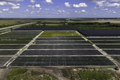 Commercial property in Homestead, Florida № 2187834 - photo 3