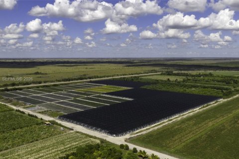 Commercial property in Homestead, Florida № 2187834