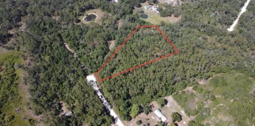 Land in Old Town, Florida № 1745021