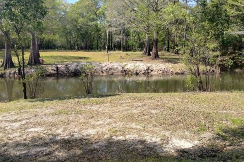 Terreno en venta en Dade City, Florida № 1578786 - foto 3