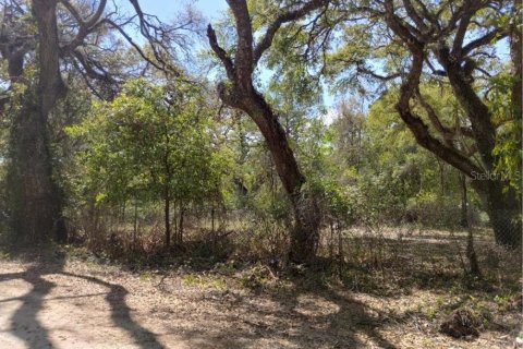 Terreno en venta en Dade City, Florida № 1578786 - foto 4