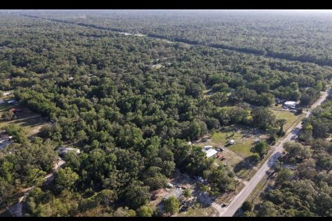 Land in Shady Hills, Florida № 1894535 - photo 2