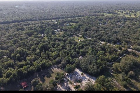 Land in Shady Hills, Florida № 1894535 - photo 6