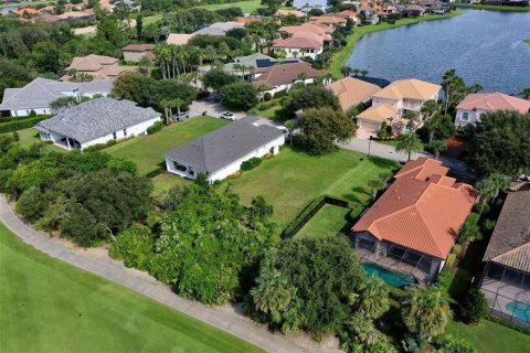 Land in Palm Coast, Florida № 1902259 - photo 15
