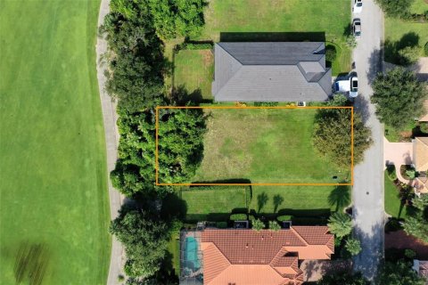 Land in Palm Coast, Florida № 1902259 - photo 2