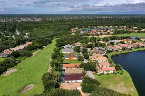 Land in Palm Coast, Florida № 1902259 - photo 11