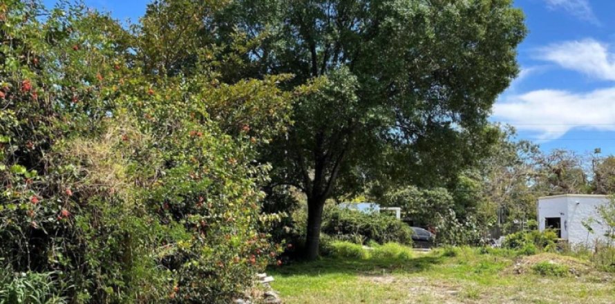 Terreno en Stuart, Florida № 1104503