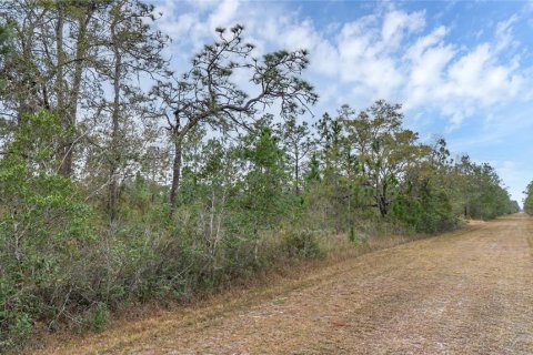 Land in Indian lake estates, Florida № 2158864 - photo 2