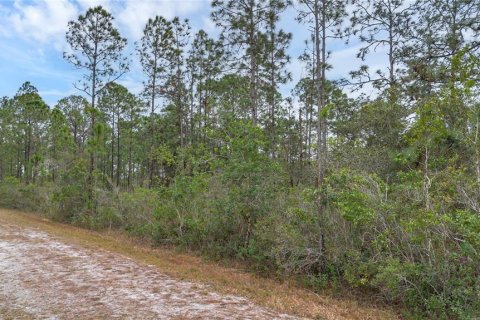 Terreno en Indian lake estates, Florida № 2158864