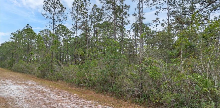 Land in Indian lake estates, Florida № 2158864