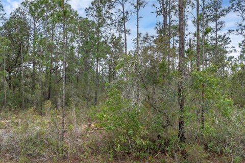 Land in Indian lake estates, Florida № 2158864 - photo 4