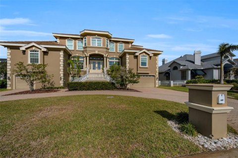 Villa ou maison à vendre à Tierra Verde, Floride: 6 chambres, 474.27 m2 № 2298556 - photo 3