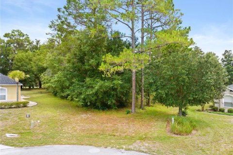 Terrain à Homosassa, Floride № 2211254