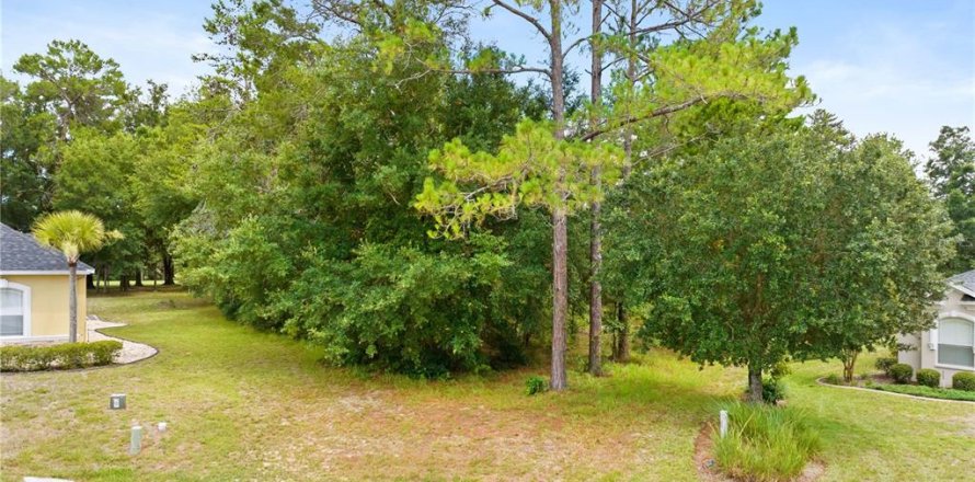 Terrain à Homosassa, Floride № 2211254