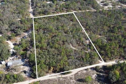Terrain à vendre à Homosassa, Floride № 2148344 - photo 3