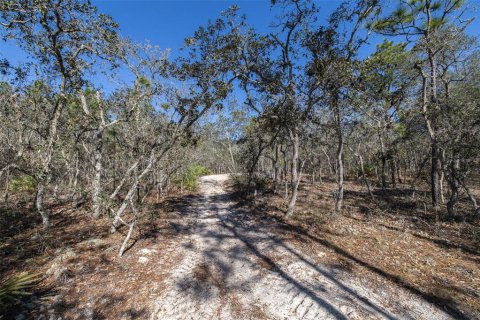 Terrain à vendre à Homosassa, Floride № 2148344 - photo 8