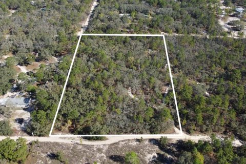 Terrain à Homosassa, Floride № 2148344