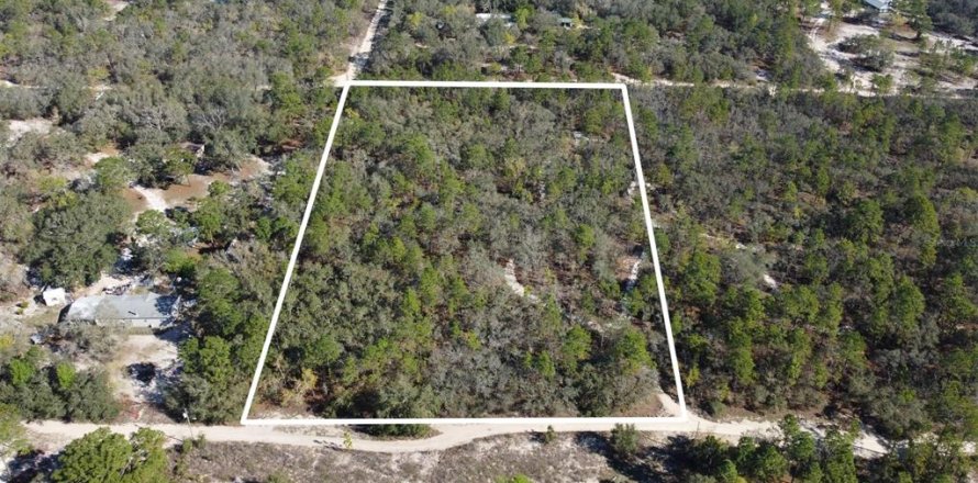 Terrain à Homosassa, Floride № 2148344