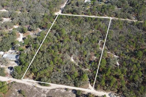 Terrain à vendre à Homosassa, Floride № 2148344 - photo 5