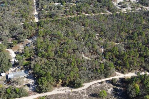 Terrain à vendre à Homosassa, Floride № 2148344 - photo 2