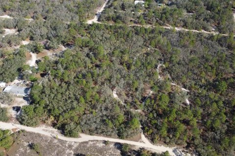 Terrain à vendre à Homosassa, Floride № 2148344 - photo 13