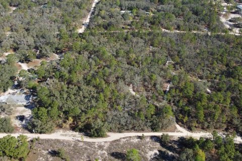 Terrain à vendre à Homosassa, Floride № 2148344 - photo 4