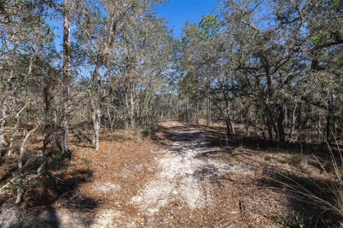 Terrain à vendre à Homosassa, Floride № 2148344 - photo 7