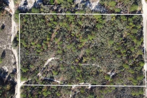 Terrain à vendre à Homosassa, Floride № 2148344 - photo 14