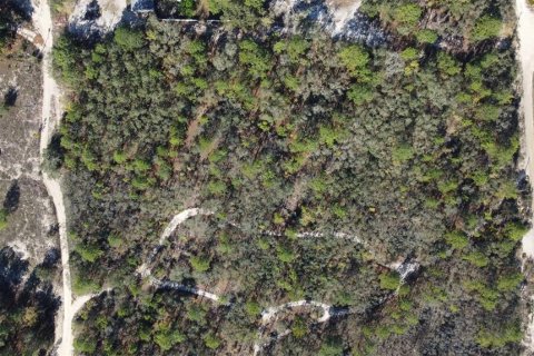 Terrain à vendre à Homosassa, Floride № 2148344 - photo 15