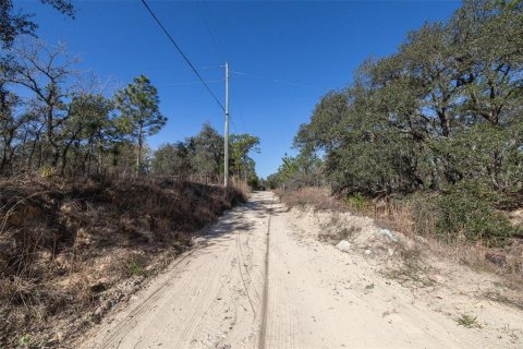 Terrain à vendre à Homosassa, Floride № 2148344 - photo 12