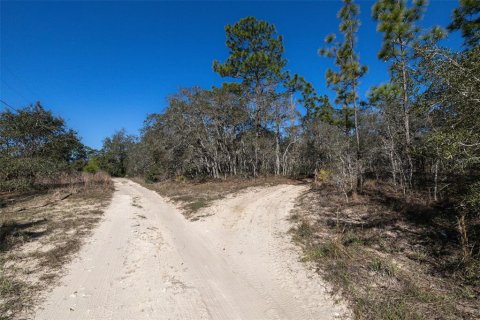 Terrain à vendre à Homosassa, Floride № 2148344 - photo 6