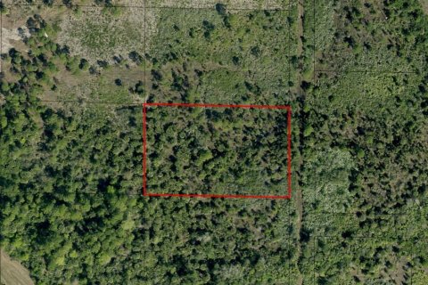 Land in Malabar, Florida № 663065 - photo 1
