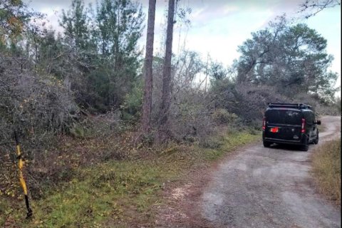 Land in Sebring, Florida № 2162616 - photo 3