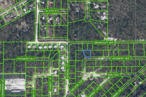 Land in Sebring, Florida № 2162616 - photo 2
