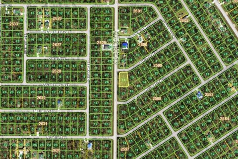 Land in Port Charlotte, Florida № 2165085 - photo 2