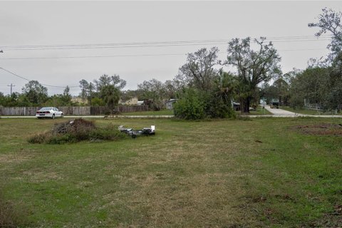 Land in Myakka City, Florida № 1721666 - photo 13