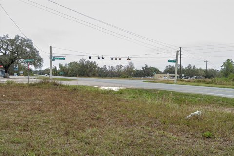 Land in Myakka City, Florida № 1721666 - photo 11