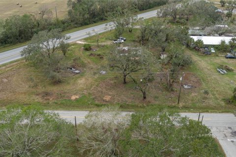 Land in Myakka City, Florida № 1721666 - photo 7